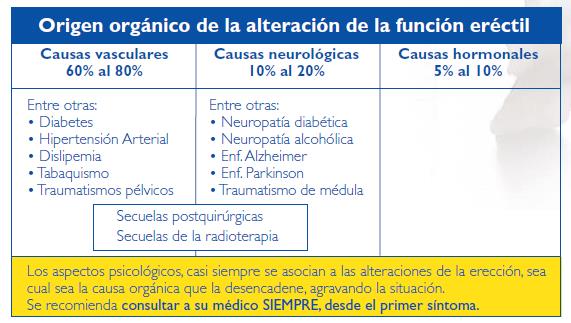 disfuncion-erectil1