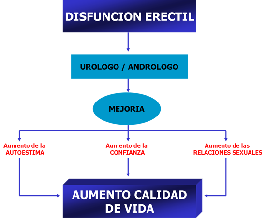 disfuncion-erectil2